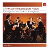 String Quartet No. 17 in B-Flat Major, K. 458 "Hunt": II. Menuetto artwork