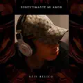 Subestimaste mi amor