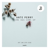 Time Has Come - Single - Ante Perry