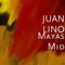 Jaguares y Juego de Pelota - Juan Lino lyrics