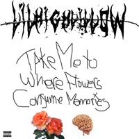 Take Me to Where Flowers Consume Memories - Single - Lil High Lil Low