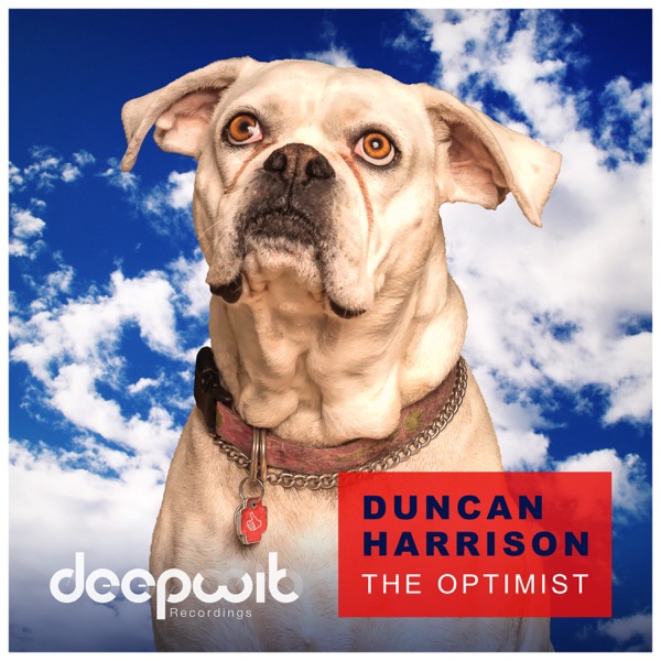 The Optimist - Single