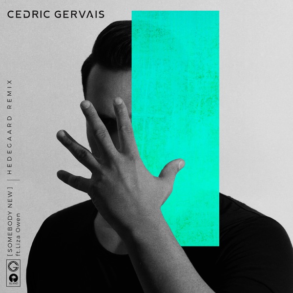 Somebody New (HEDEGAARD Remix) [feat. Liza Owen] - Single - Cedric Gervais