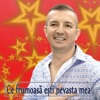Ce Frumoasa Esti Nevasta Mea