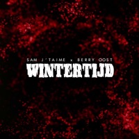 Wintertijd (feat. Berry Oost) - Single - Sam J'taime