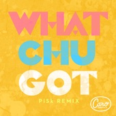 Whatchugot (Pisk Remix) artwork