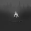 Fogo