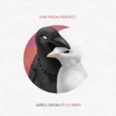 Far From Perfect (feat. CY Dieyi) artwork