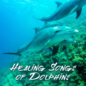 Healing Songs of Dolphins: Sleep Music, RelaxingTherapy Sounds for Reduce Stress