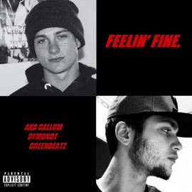 Feelin' Fine (feat. Dymondt & GreenBeatz) Aka Callum