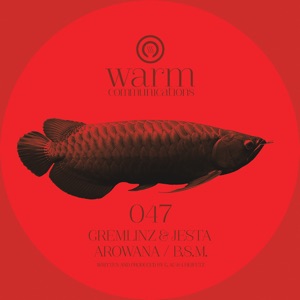 Arowana / Bsm - Single