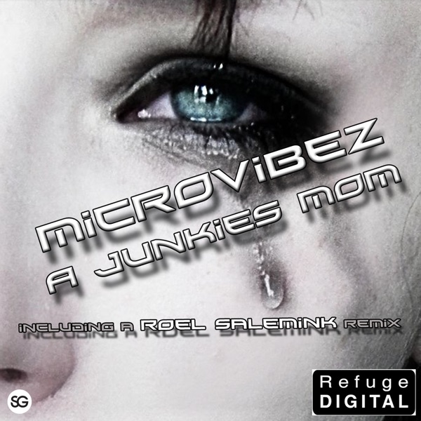 A Junkies Mom - Single