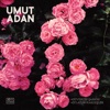Umut Adan - Eflatun Kardeşler