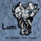 Wookie Cookie - Lumi lyrics