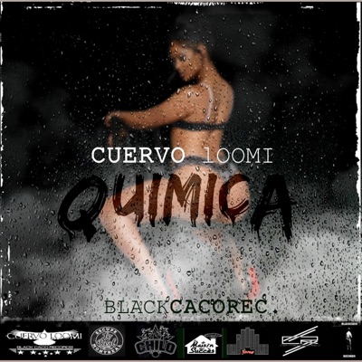Quimica - Single