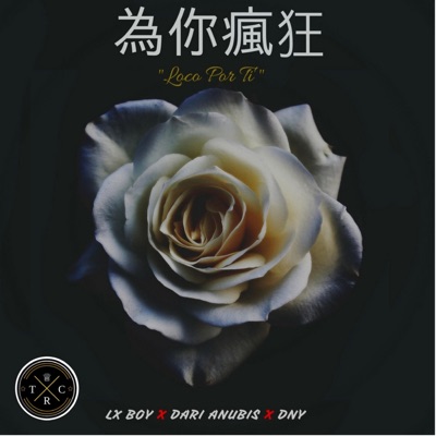Loco Por Ti (feat. Dari Anubis & DNY) - Single