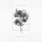 Do You Know - Armen Paul lyrics