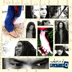 Maketa de Platino (Remasterizado) - Raúl Torres