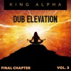 Dub Elevation, Vol. 3 (Final Chapter)