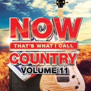 NOW That's What I Call Country, Vol. 11