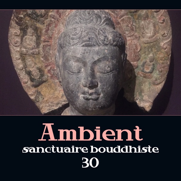 Ambient sanctuaire bouddhiste 30 - Musique de méditation zen avec des sons de guérison, bols tibétains et mélodies chinoises