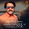 Sonhri Gaddi Te Sonhre Look - Single