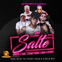 Salte (Remix) [feat. Fili Wey] - Single - Xander el Imaginario, Benny Benni, Endo & Towy