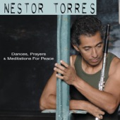 Nestor Torres - Human Revolution
