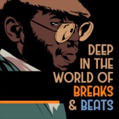 Deep In the World of Breaks & Beats artwork