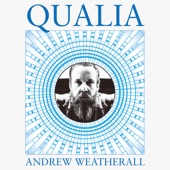 Andrew Weatherall - Spreads a Haze (And a Glory)