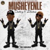 Musheyenle (feat. Zlatan) - Single