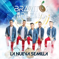 La Nueva Semilla - Bravitos de la Plena