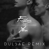 Falling for You (Dulsae Remix) - Single