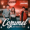 Cozumel (feat. Humberto & Ronaldo) - Single