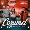 Janaynna - Cozumel (feat. Humberto & Ronaldo)