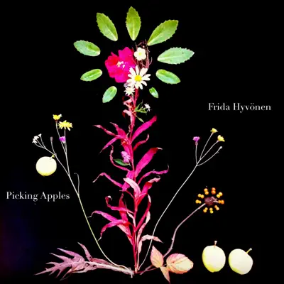 Picking Apples - Single - Frida Hyvonen