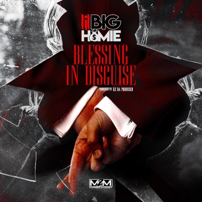 Blessing in Disguise - Single