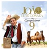 João Luiz Corrêa - No Fandango das Chinelas
