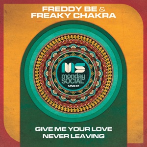 Give Me Your Love / Never Leaving - Single