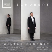 Schubert: Winter Journey artwork