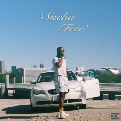 Sucka' Free - Single