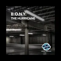 The Hurricane (DJ B.O.N.Y. Mix) — Bony