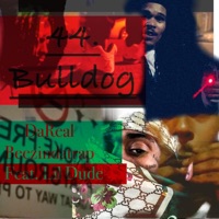 44. Bulldog (feat. Lil Dude) - Single - Dareal Beezindatrap