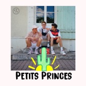 Petits princes artwork