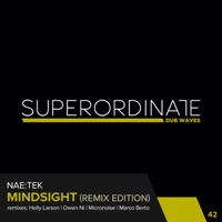 Mindsight ( Remix Edition ) - EP - Nae:Tek