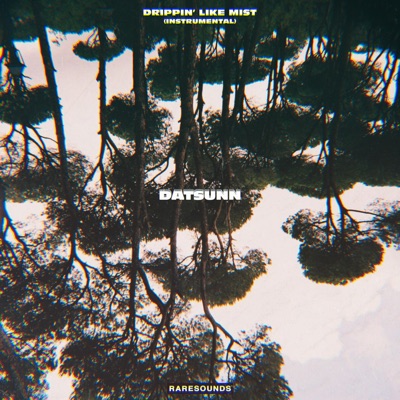 Drippin' Like Mist (feat. Munch) [Instrumental] - Single