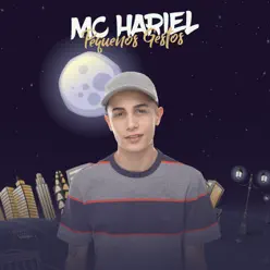 Pequenos Gestos - Single - MC Hariel