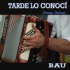 Tarde Lo Conocí - Single