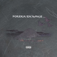 Foreign Exchange, Vol. 1 - Single - Atlnuke