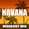 Havana - Dynamix Music lyrics